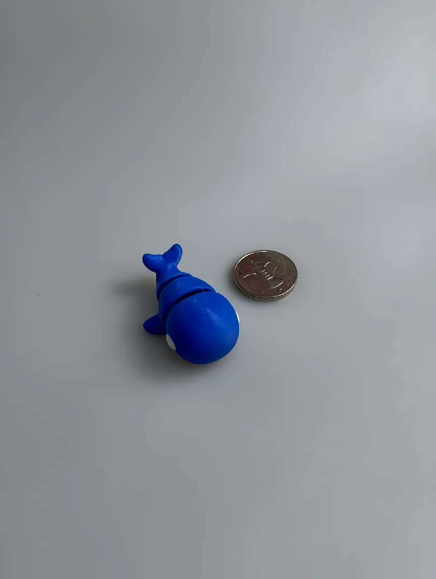 Baby Blue Whale