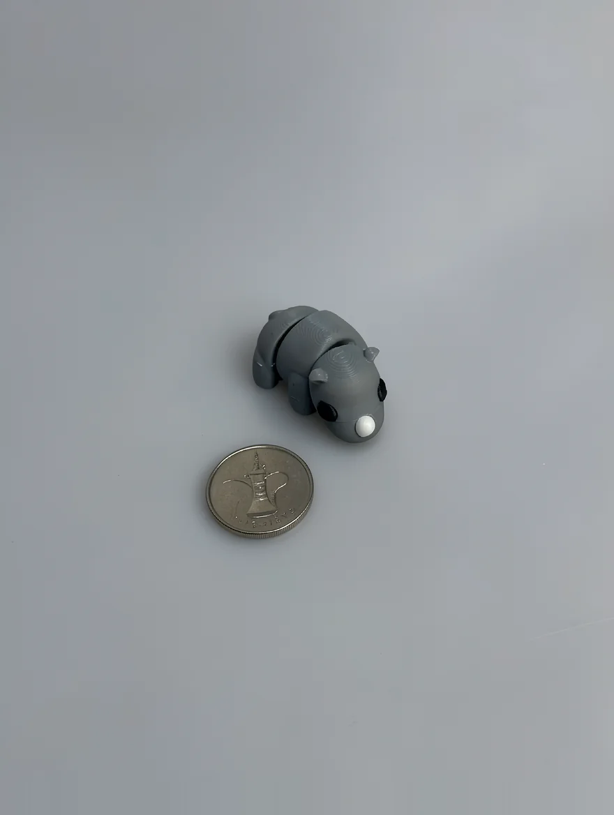 Baby Rhino