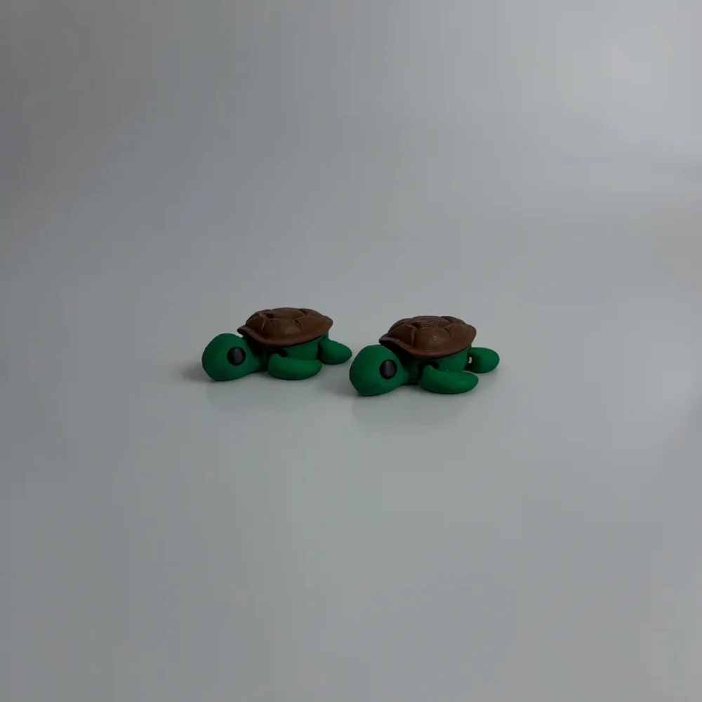 Baby Turtle