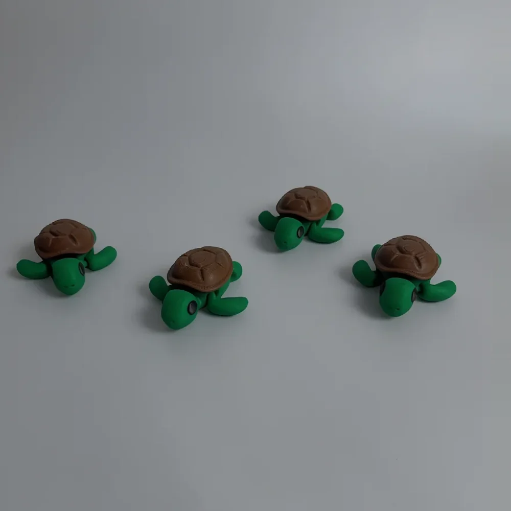 Baby Turtle