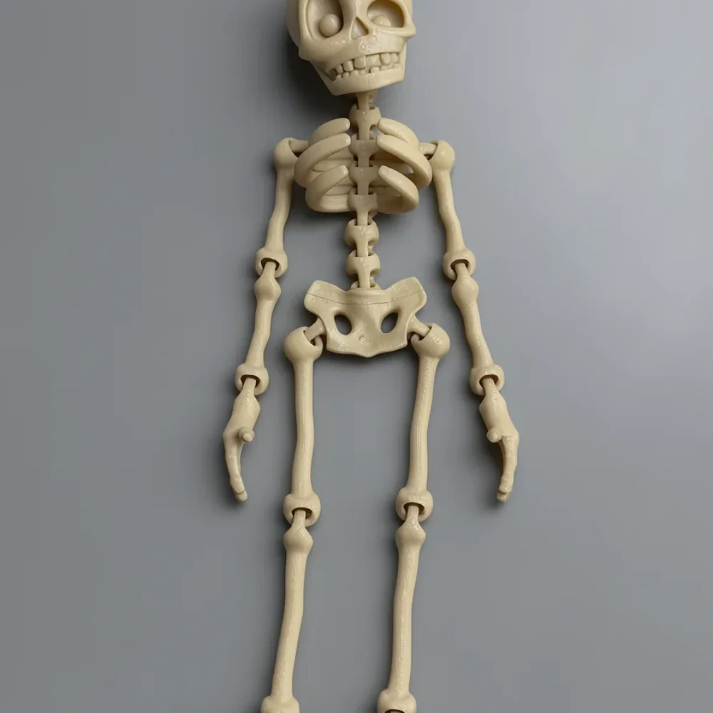 Cute Skeleton XL: off-white articulated human skeleton figurine, hollow dark eye sockets in the skull
