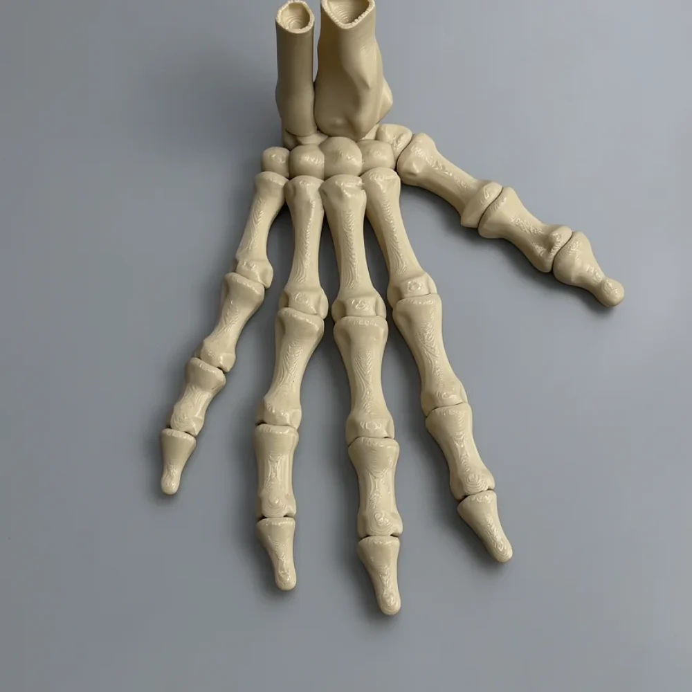 Upright Skeleton Hand (Right)