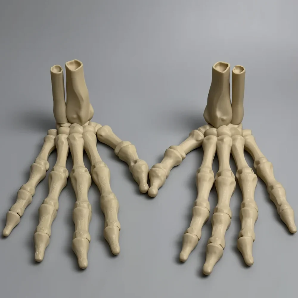 Upright Skeleton Hand (Right)