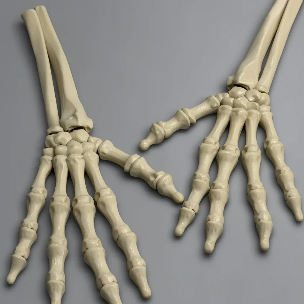 Skeleton Hand (Left): cream anatomical hand bone model (disassembled, with detached thumbs)
