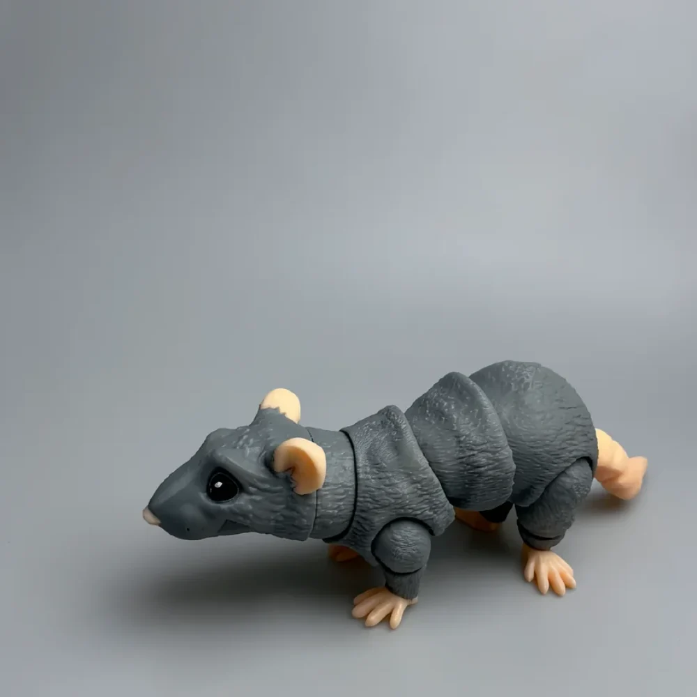 Rat