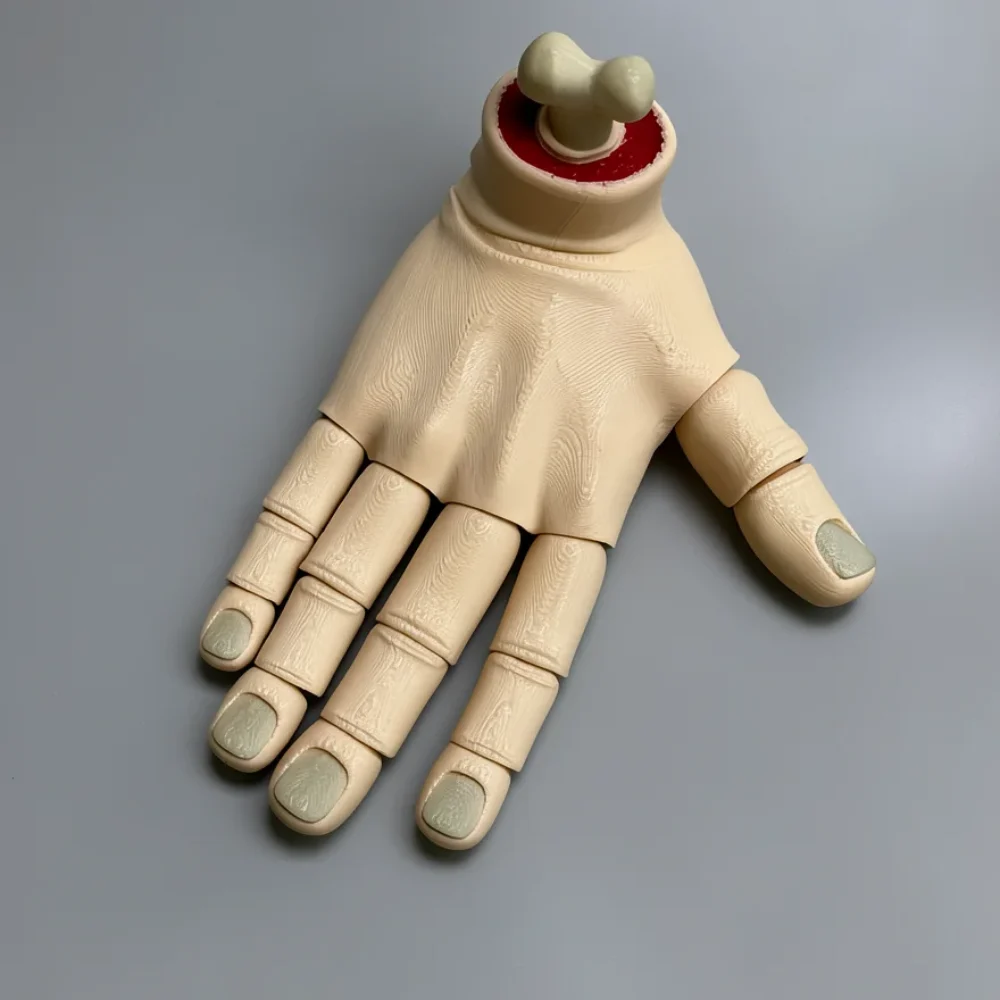 Hand (Right): pale beige and deep red severed hand model, severed wrist with rolled skin edge