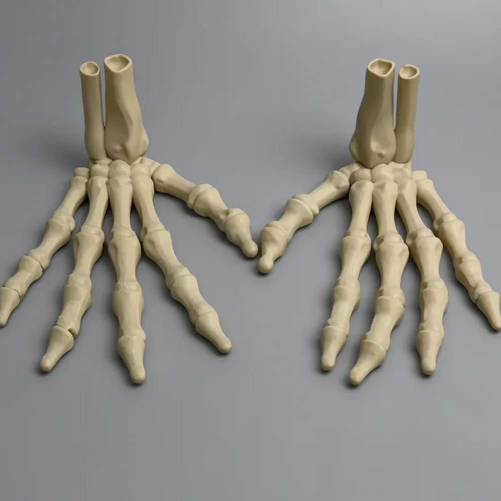 Upright Skeleton Hand (Left): creamy beige and off-white anatomical hand skeleton model pair, hollow forearm bone ends